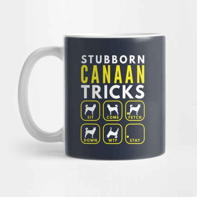 Stubborn Canaan Tricks - Dog Training by DoggyStyles